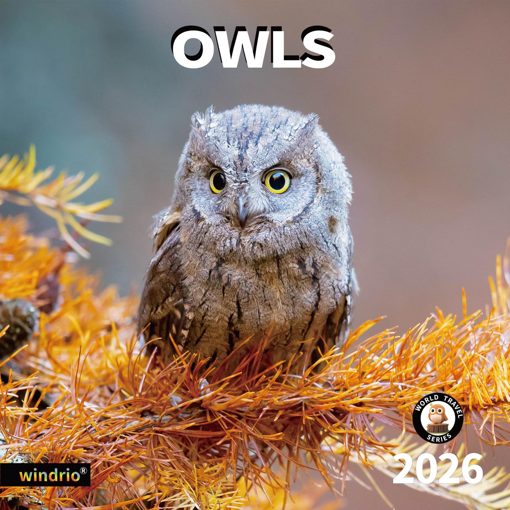 Wall Calendar 2025-2026 Calendar 2025-2026 July 2025-Dec 2026 12x17 18 Month Wall Calendar Hanging Hook Colorful Clumps