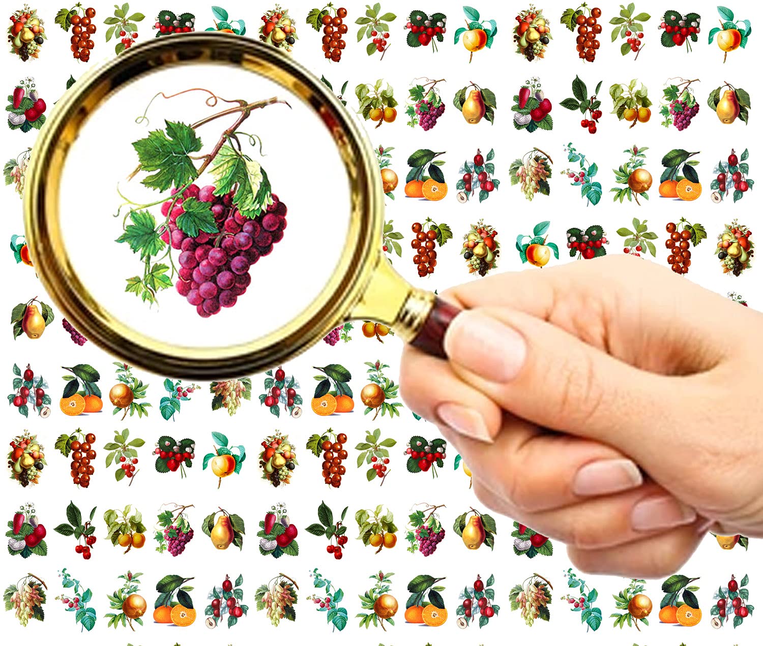 Flonz Six Nail Stickers Decals (5 Sheets) Fruits And Berries Orange Grape Strawberry Vintage Watercolor Illustration Flonznail Nail Décor