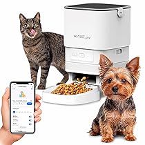 SYBILPET Distributore Automatico Cibo Gatti e Cani Taglia Piccola – Dispenser Crocchette con App e Messaggio Vocale – Erogatore Silenzioso e Antiblocco con Capacità di 4L