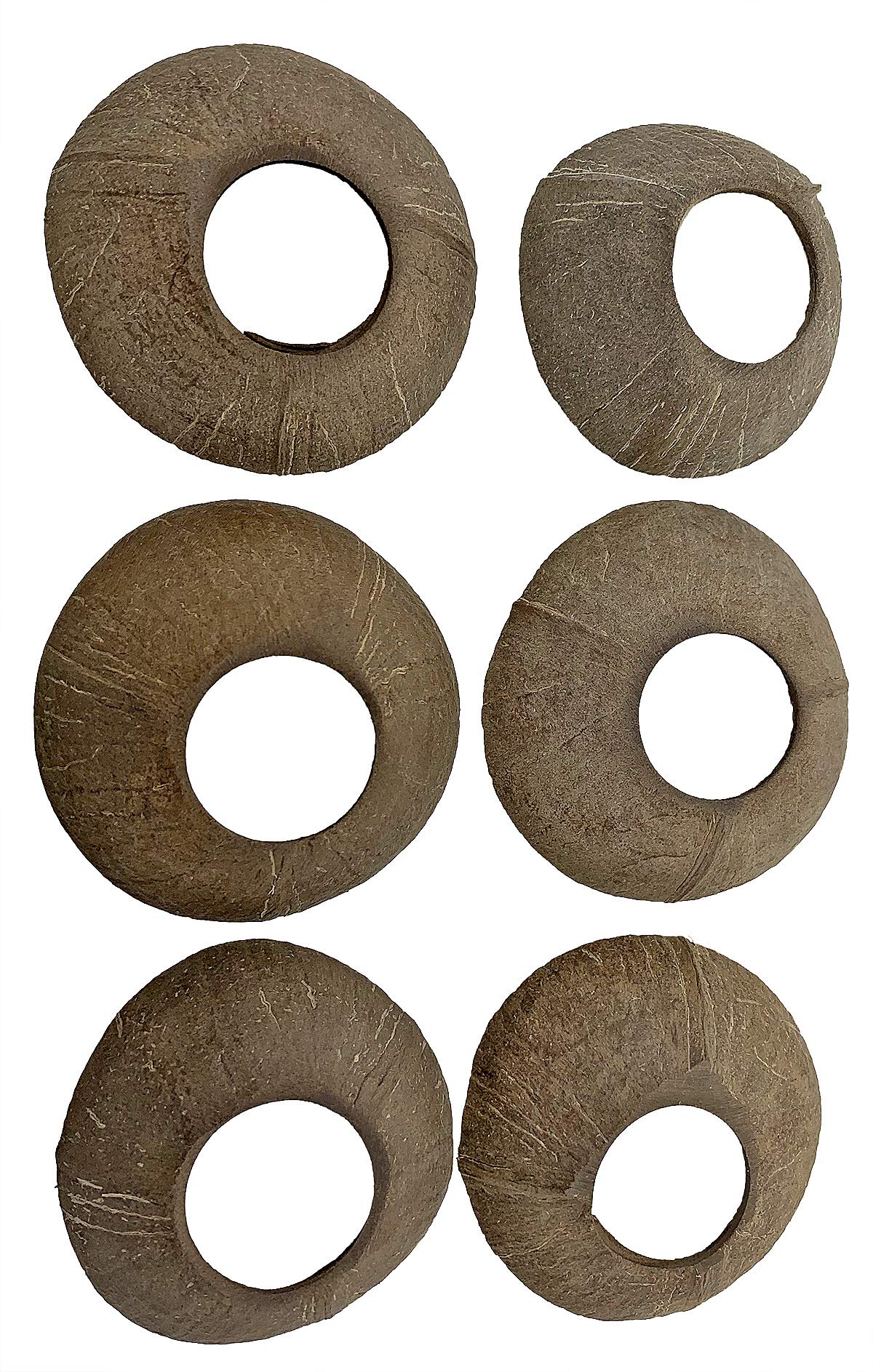 1290 Large Coconut Discs 6 Pack Bird Parrot Toy Part Craft Parrot cage Toys Cages Natural pet