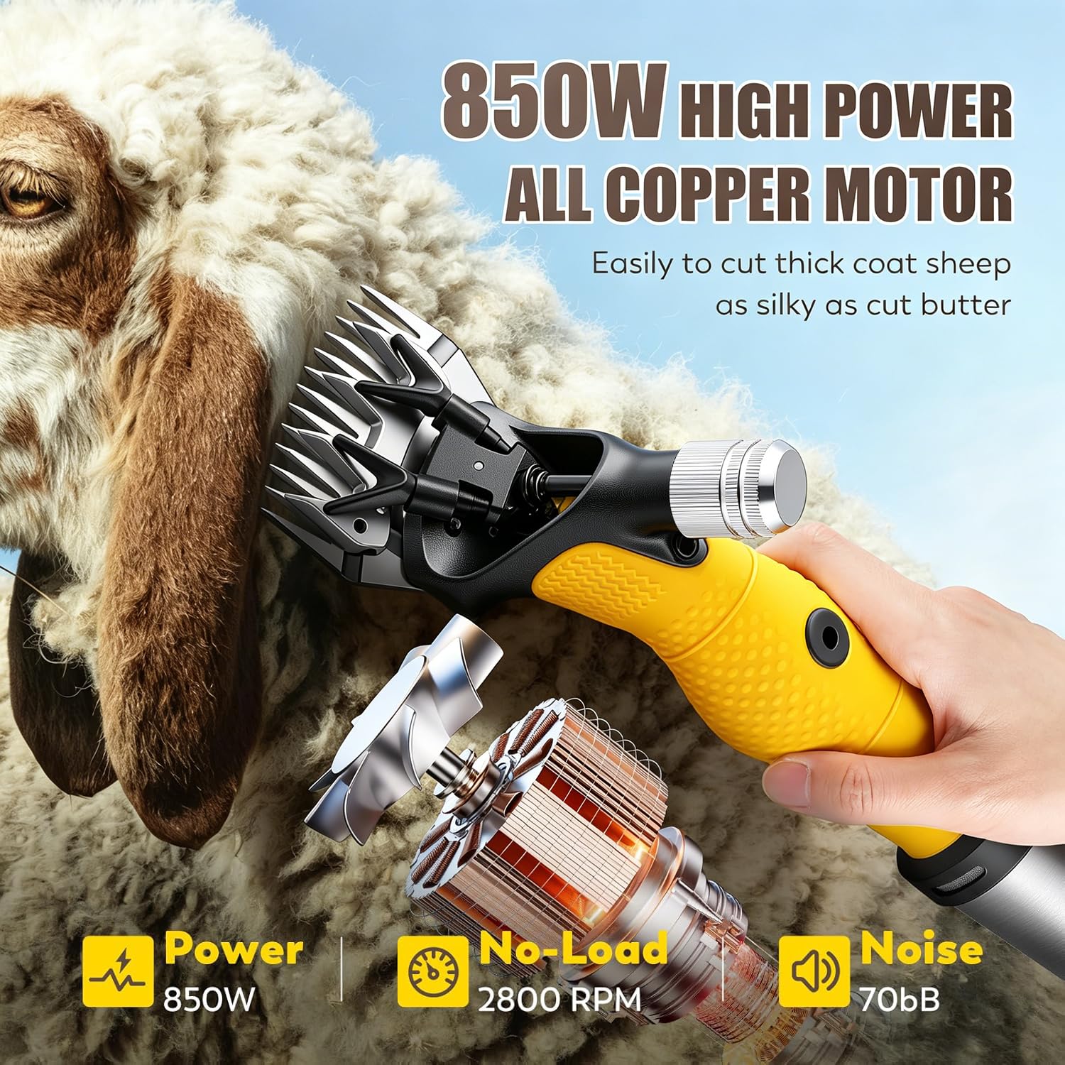 CGOLDENWALL 1000W Tosatrice Professionale per Pecore 2400giri/min con 6 Velocità e Doppia Protezione Anti-Surriscaldamento -Lame in Acciaio al Carbonio per Pecore, Capre, Alpaca - Kit Completo Incluso
