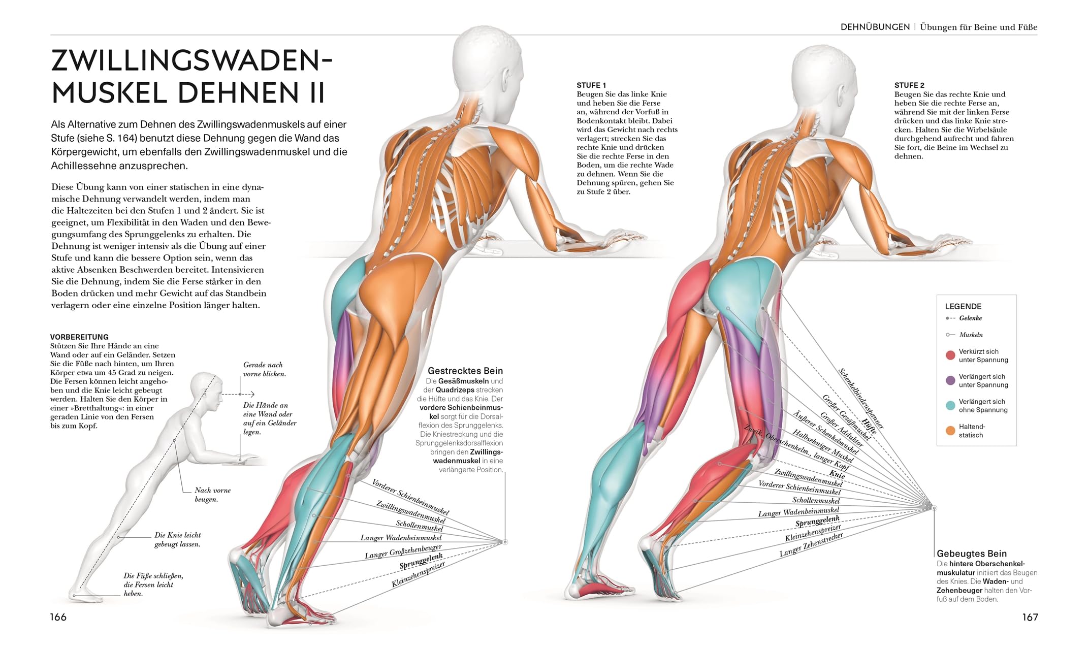 Stretching - Die Anatomie verstehen: Mit Dehnübungen für mehr Beweglichkeit. Grafiken geben Einblicke in die Muskel- und Gelenkarbeit