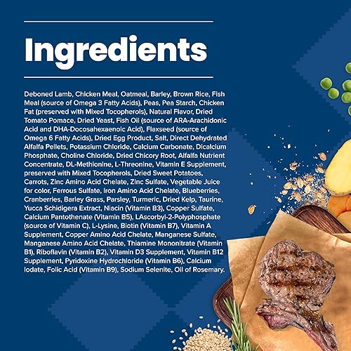 Miniatura 5 de Blue Buffalo Life Protection Formula Natural - Alimento seco para cachorros, cordero y avena, 34 libras