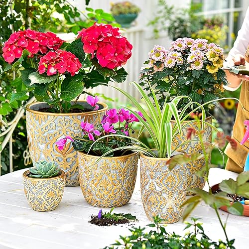 Miniatura 4 de Sungmor Macetas de cemento para suculentas, juego de 2 macetas de cactus de concreto con orificio de drenaje, maceta de diseño en relieve para