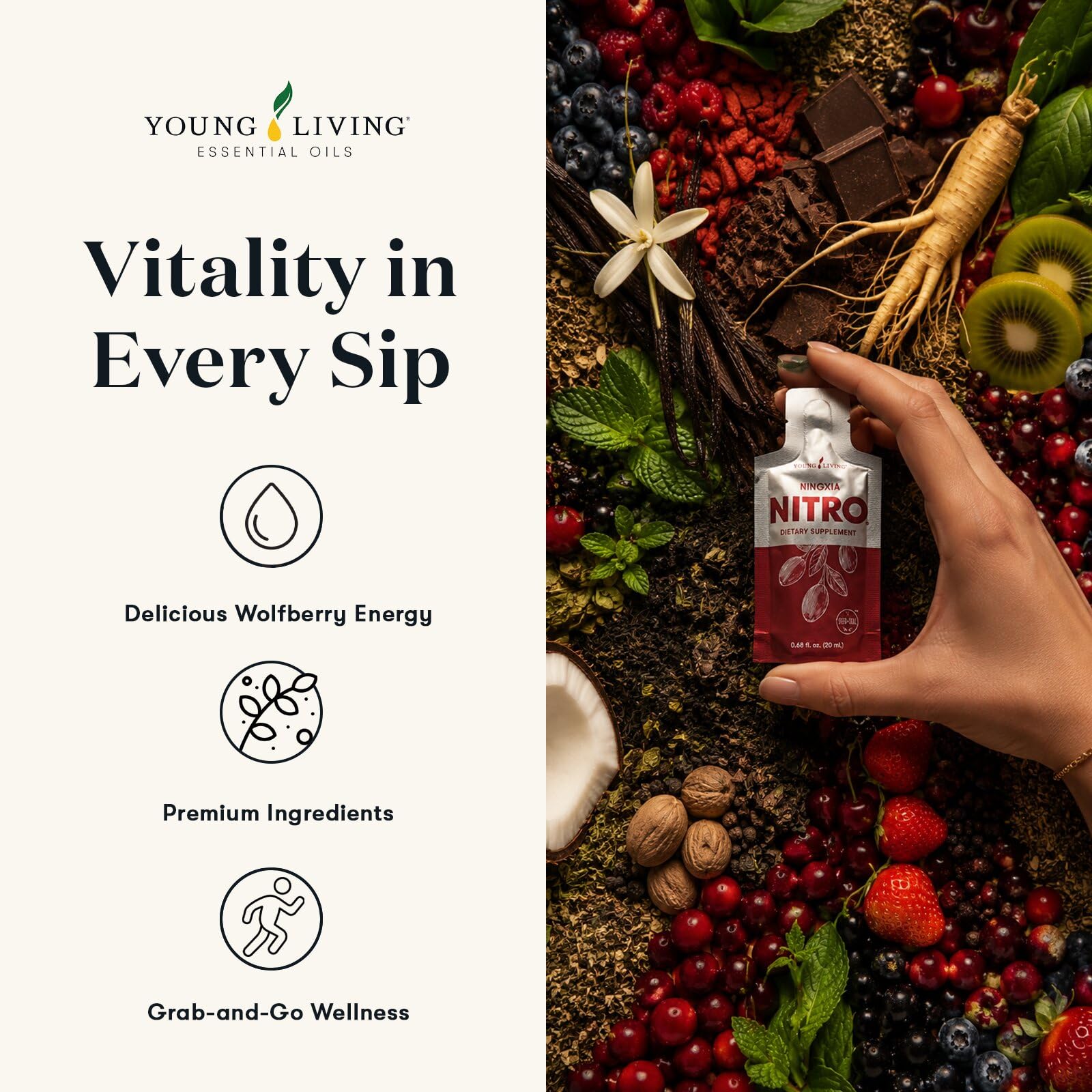 Amazon.com : Young Living NingXia Nitro | 1 Pack (14 Sachets
