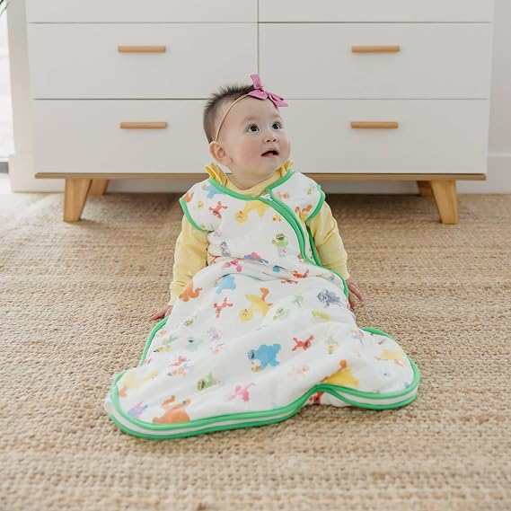 Copper Pearl Baby Sleep Sack, Sesame Friends - 1.0 TOG All-Season Wearable Blanket for 0-6 Months, Sleeveless Sleep Sack for Baby Boy or Girl