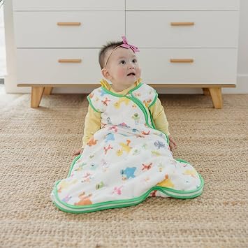 Copper Pearl Baby Sleep Sack, Sesame Friends - 1.0 TOG All-Season Wearable Blanket for 0-6 Months, Sleeveless Sleep Sack for Baby Boy or Girl