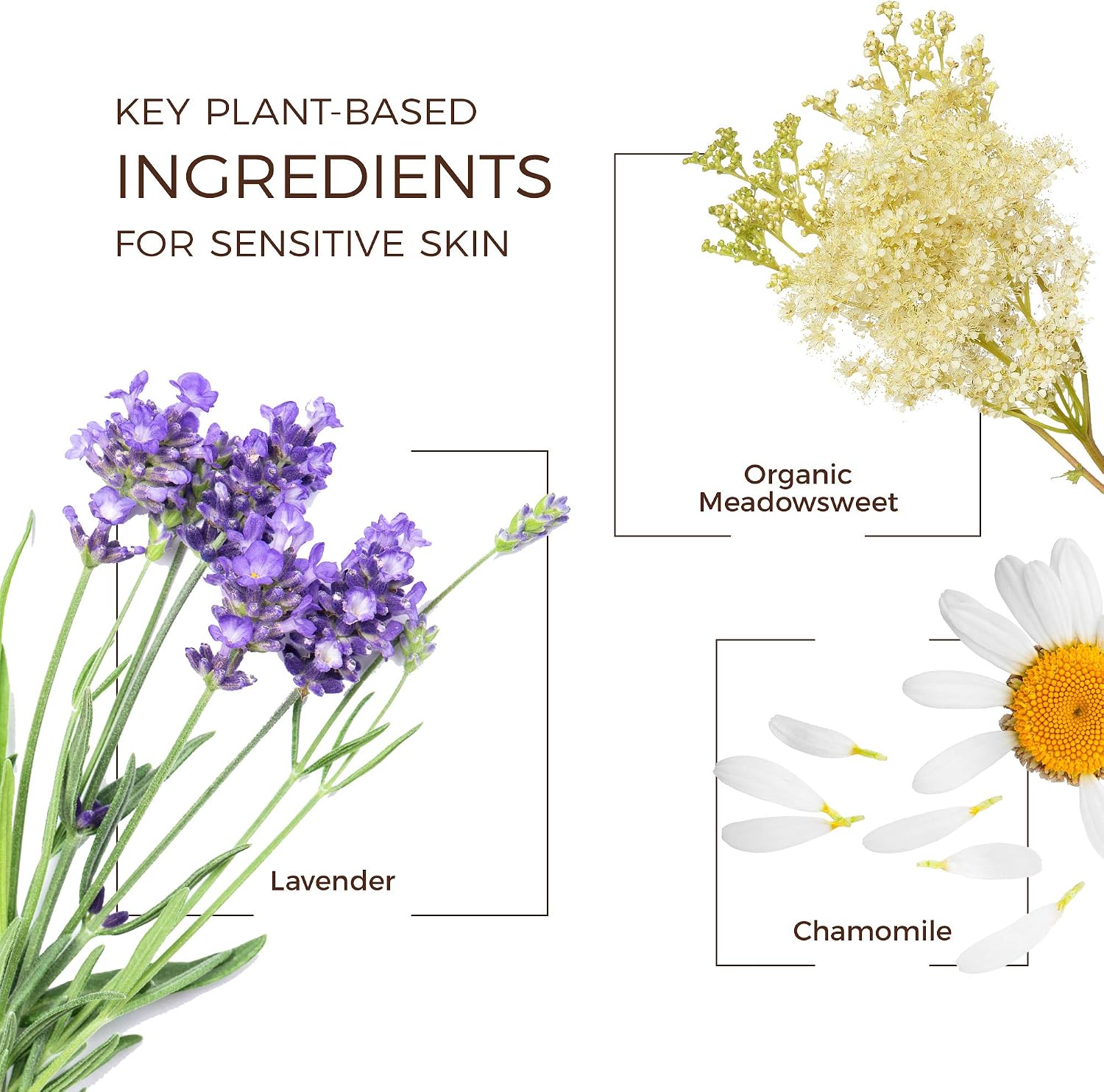 Babo Botanicals Calming 3-in-1 Face, Hand & Body Cleansing Wipes - with French Lavender & Meadowsweet - for Babies, Kids & Adults with Sensitive Skin - 30 ct.