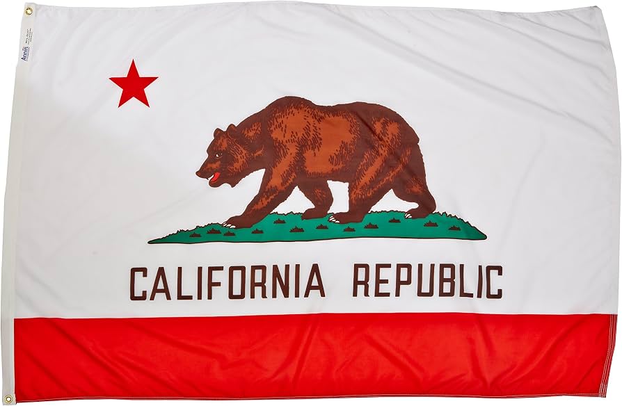 Amazon.com : Annin Flagmakers California State Flag USA-Made to