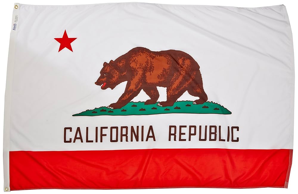 Amazon.com : Annin Flagmakers California State Flag USA-Made