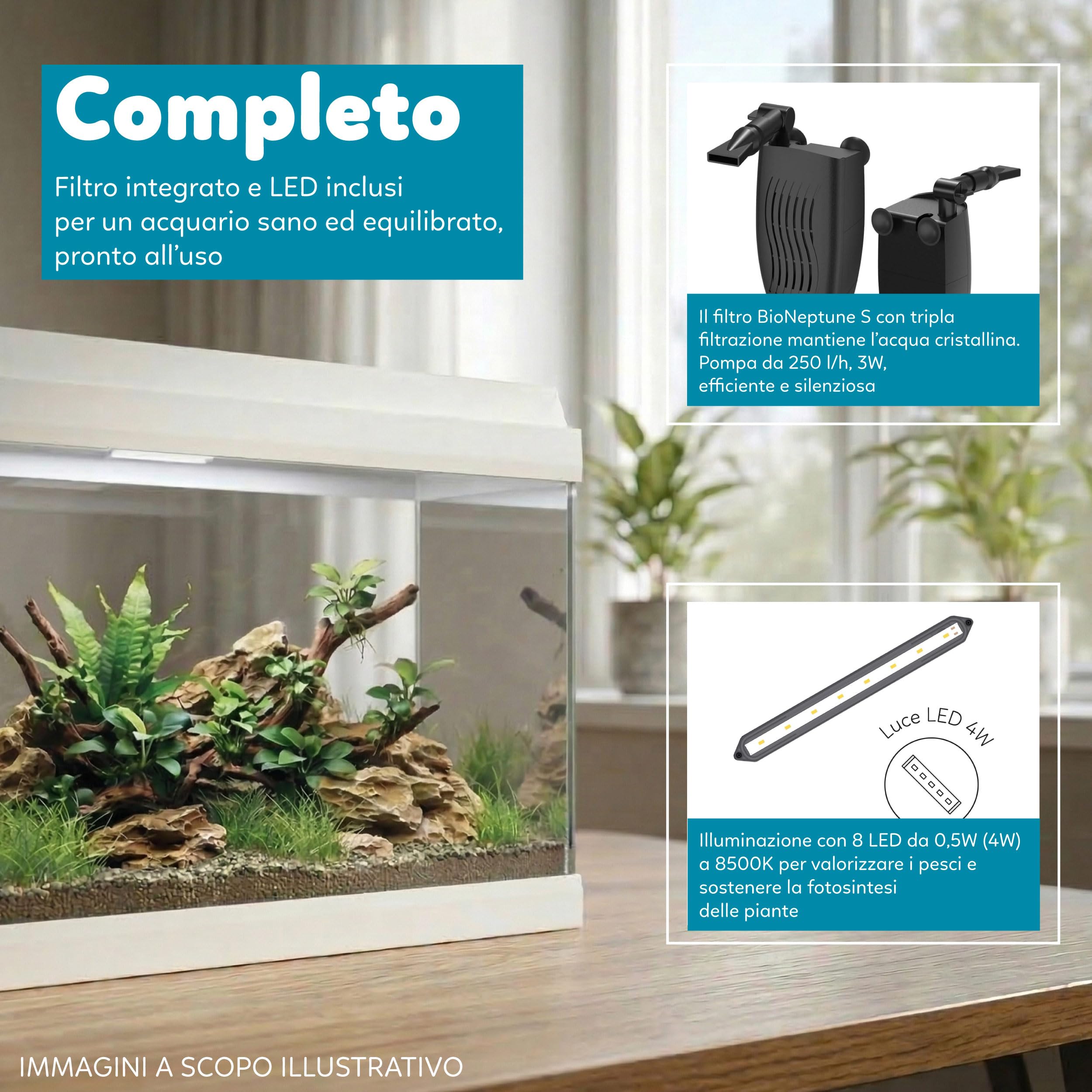 AQPET Acquario in Vetro per Pesci Tropicali Completo di Accessori Filtro Luce Simply, 30 39x22x30 cm 30 Litri, Bianco