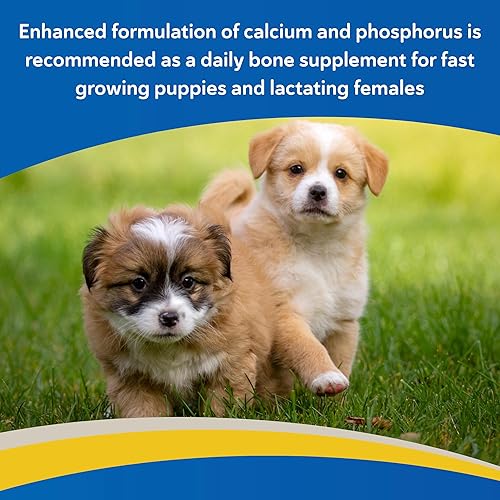 Vista 5 de Revival Animal Health Doc Roy's Healthy Bones- Suplemento de fósforo de calcio - para perros y cachorros - Tabletas de 100