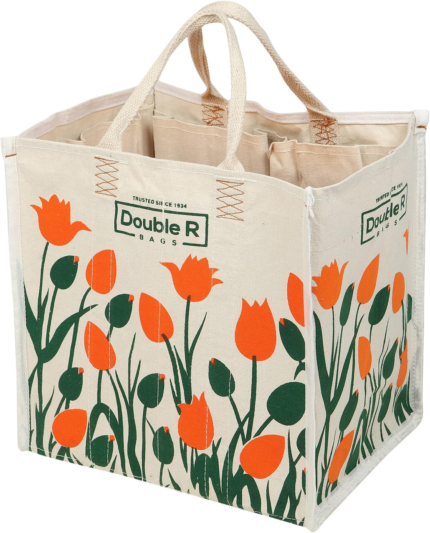 Double R Medium Laminated Cotton Canvas Grocery Bag | Reusable Jhola for Milk, Fruits & Vegetables | Reinforced Handles | Kitchen Essential | 35x27x34 cm | 1 Compartment, 6 Pockets (Pack Of 1)