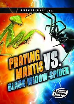 Praying Mantis vs. Black Widow Spider Animal Battles