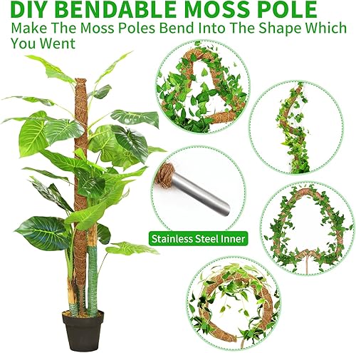 Miniatura 2 de Poste de musgo, estacas flexibles de soporte para plantas trepadoras de 25 pulgadas para plantas Monstera, soporte de plantas para plantas de