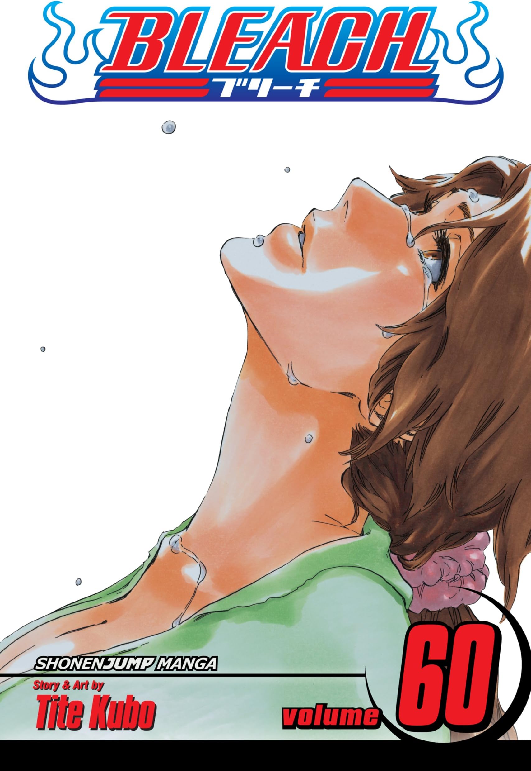 Bleach, Vol. 60: Everything But the Rain Kindle & comiXology