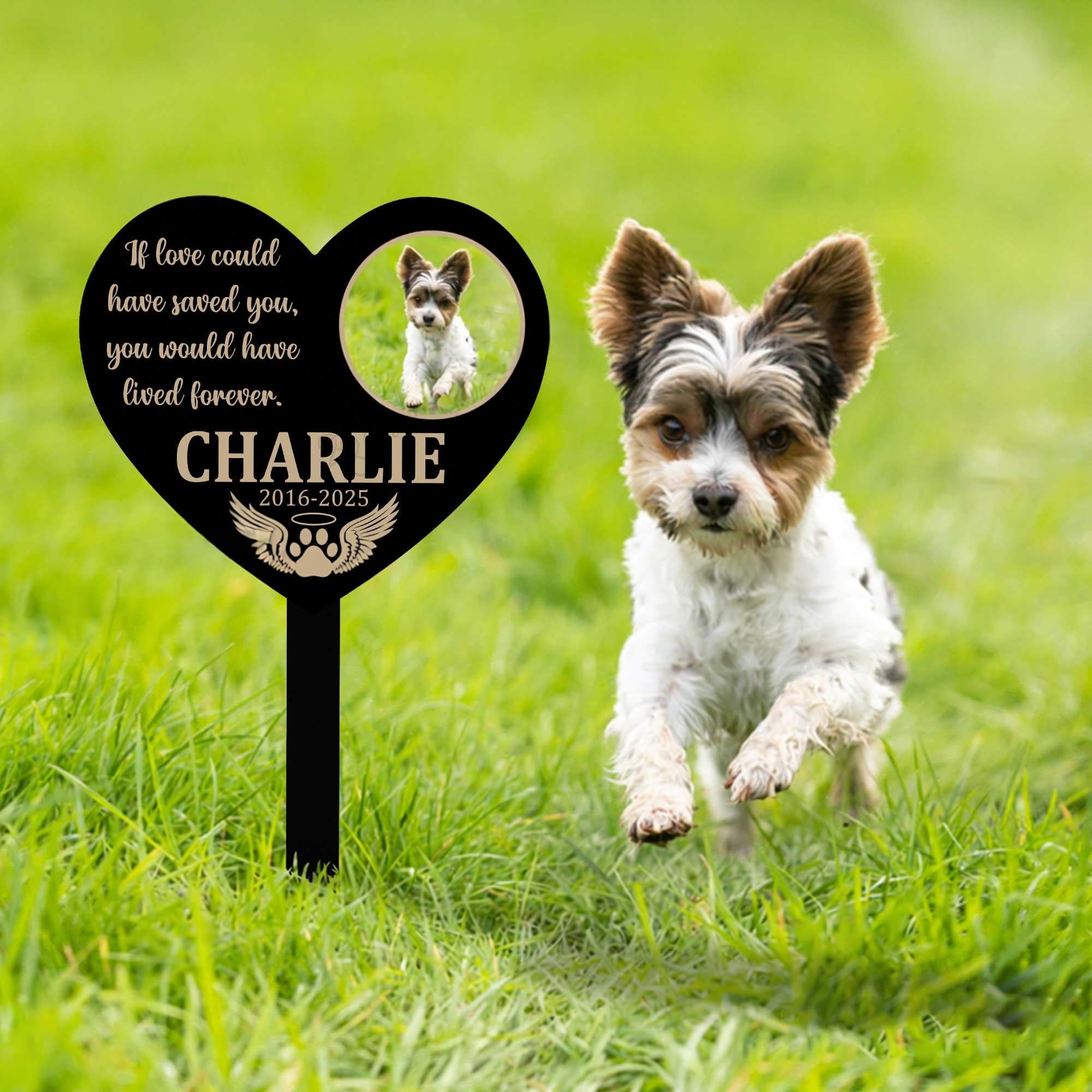zouwii Custom Pet Memorial Heart Stake with Photo - Personalized Dog Cat Grave Marker, Metal Garden Sympathy Gift with Angel Wings & Dates for Backyard Lawn — image 1
