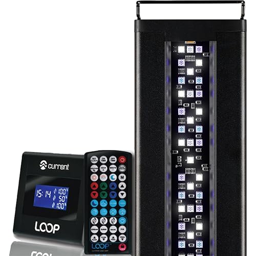 Current USA 36-48" Inch Orbit Marine LED Saltwater Reef Marine Aquarium Light | 24 Hour IR Lighting & eFlux Wave Pump Control | Adjustable Color Spectrum for Fish Tank (4102)