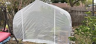 Review Image by Kat Kat