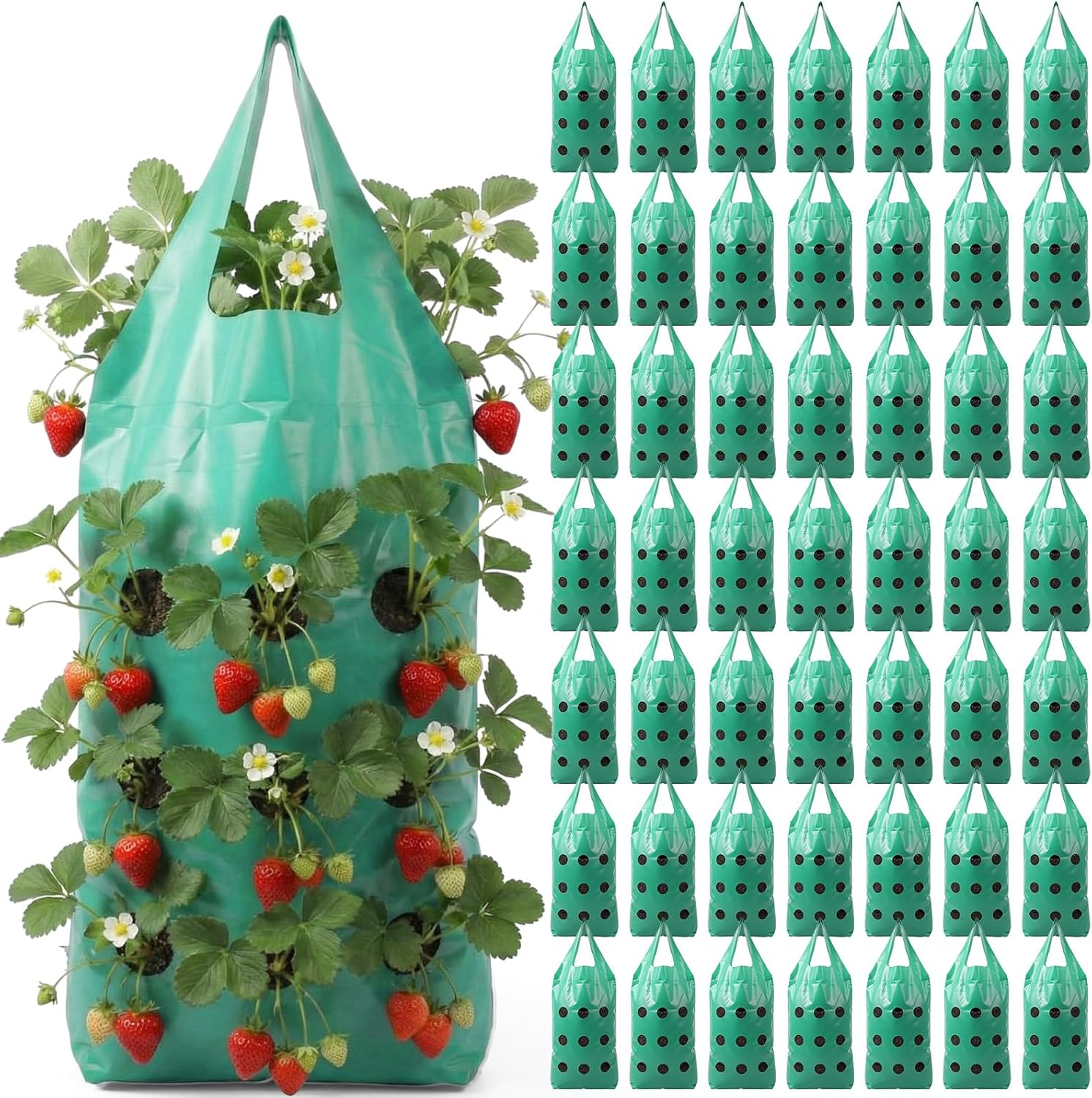 50 Pack Hanging Strawberry Planter Grow Bags, 9 Hole Plastic Hanging Vertical Planters, Upside Down Garden Bags with Reinforced Handles for Outdoor Wall Strawberries, Cherry, Tomatoes, Flowers, Tomato