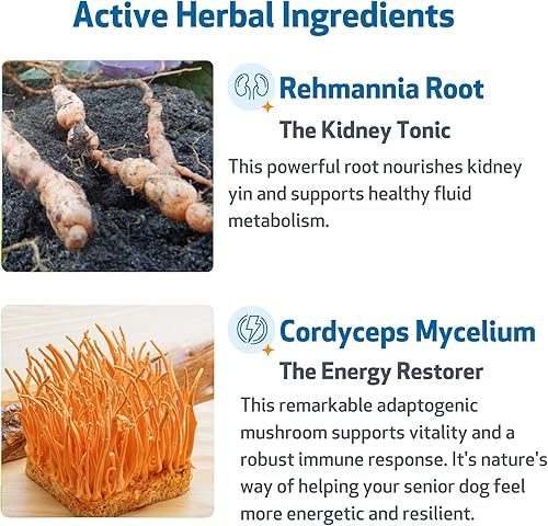 Miniatura 3 de Pet Wellbeing Soporte renal Gold para gatos  Apoya la función renal normal y la desintoxicación, hidratación saludable y energía con Rehmannia y