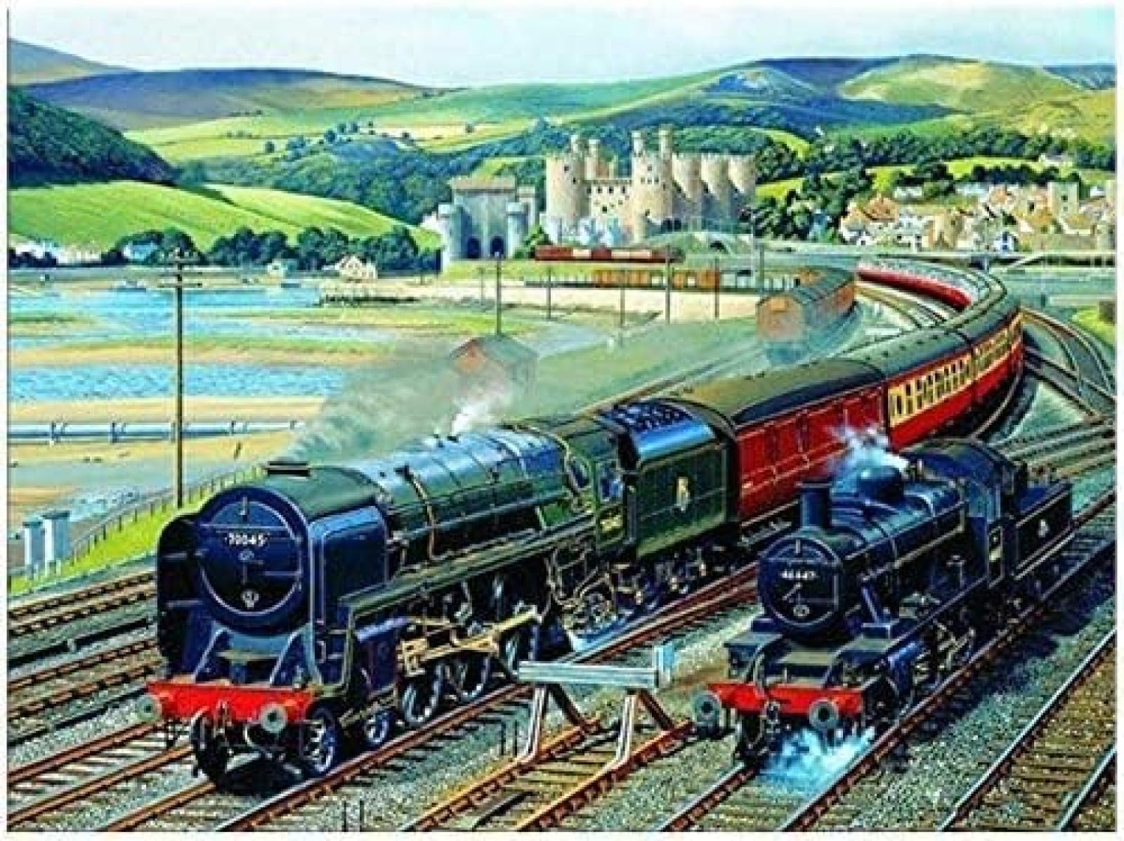Eiialerm Stamped Cross Stitch Kits for Adults Steam Train 11CT Cross-Stitch Kit Beginners Embroidery Patterns Art Crafts for Wall Decor -40x50cm