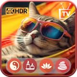 猫のためのリラックスサウンド - テレビとタブレット用の睡眠とストレスの緩和