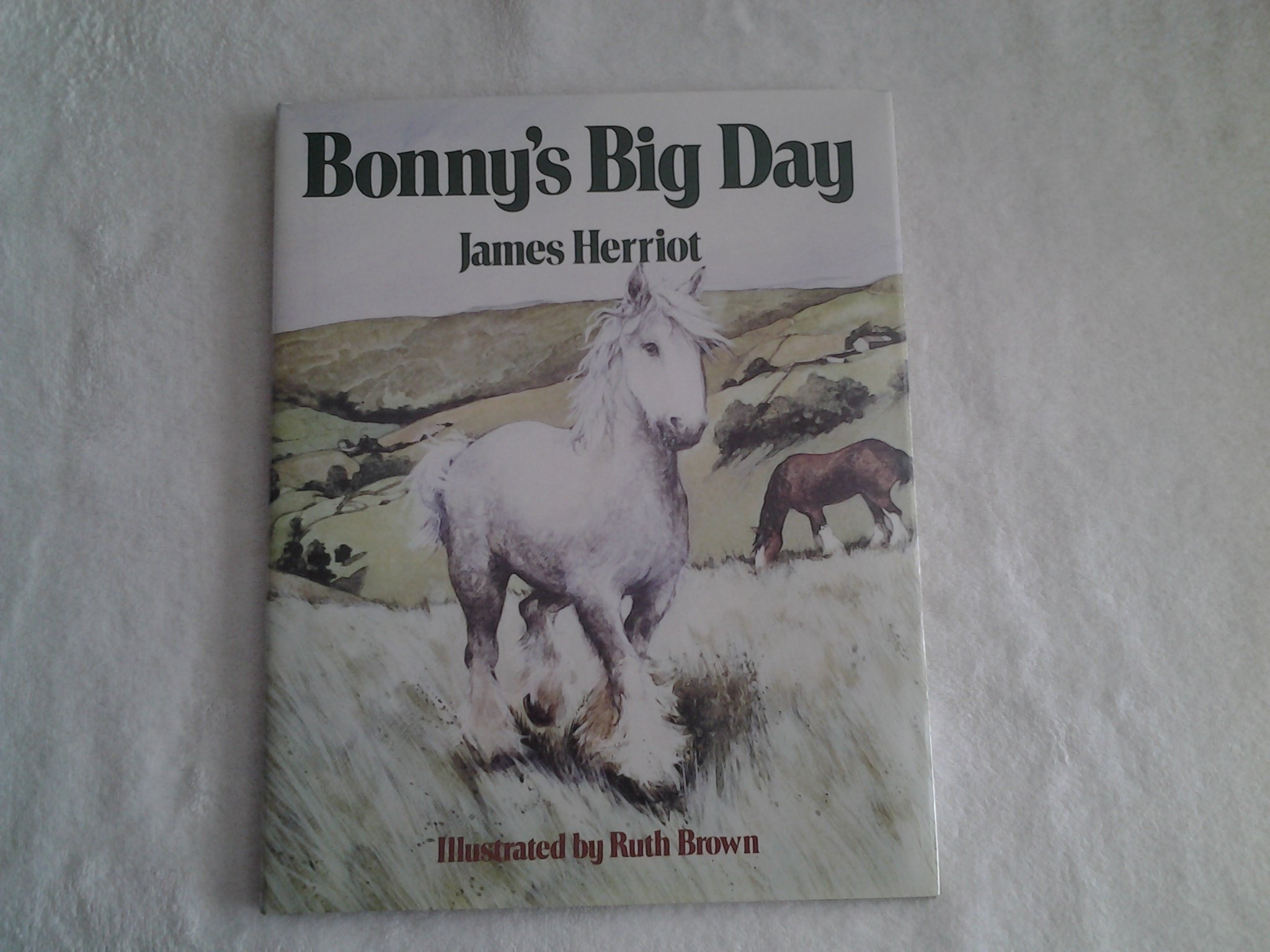 Bonny's Big Day
