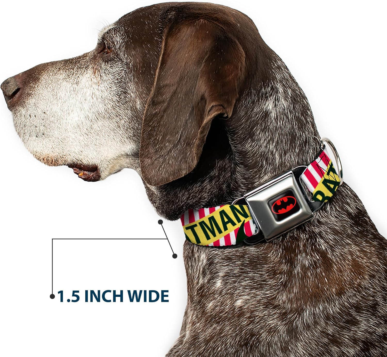 Buckle-Down Seatbelt Buckle Dog Collar - Batman Caped Crusader - 1" Wide - Fits 9-15" Neck - Small