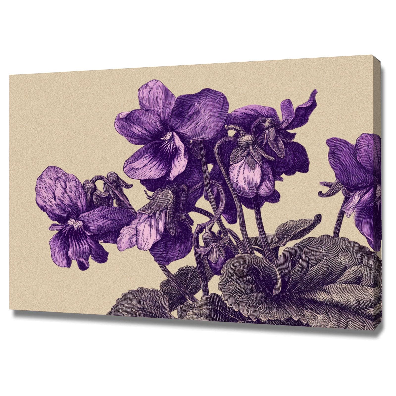 WUFIEA Semplice arte botanica Stampe su Canvas Disegno a tratteggio viola per Camera da Letto Agriturismo Soggiorno Bagno(Violetta)-40x60cm Incorniciato