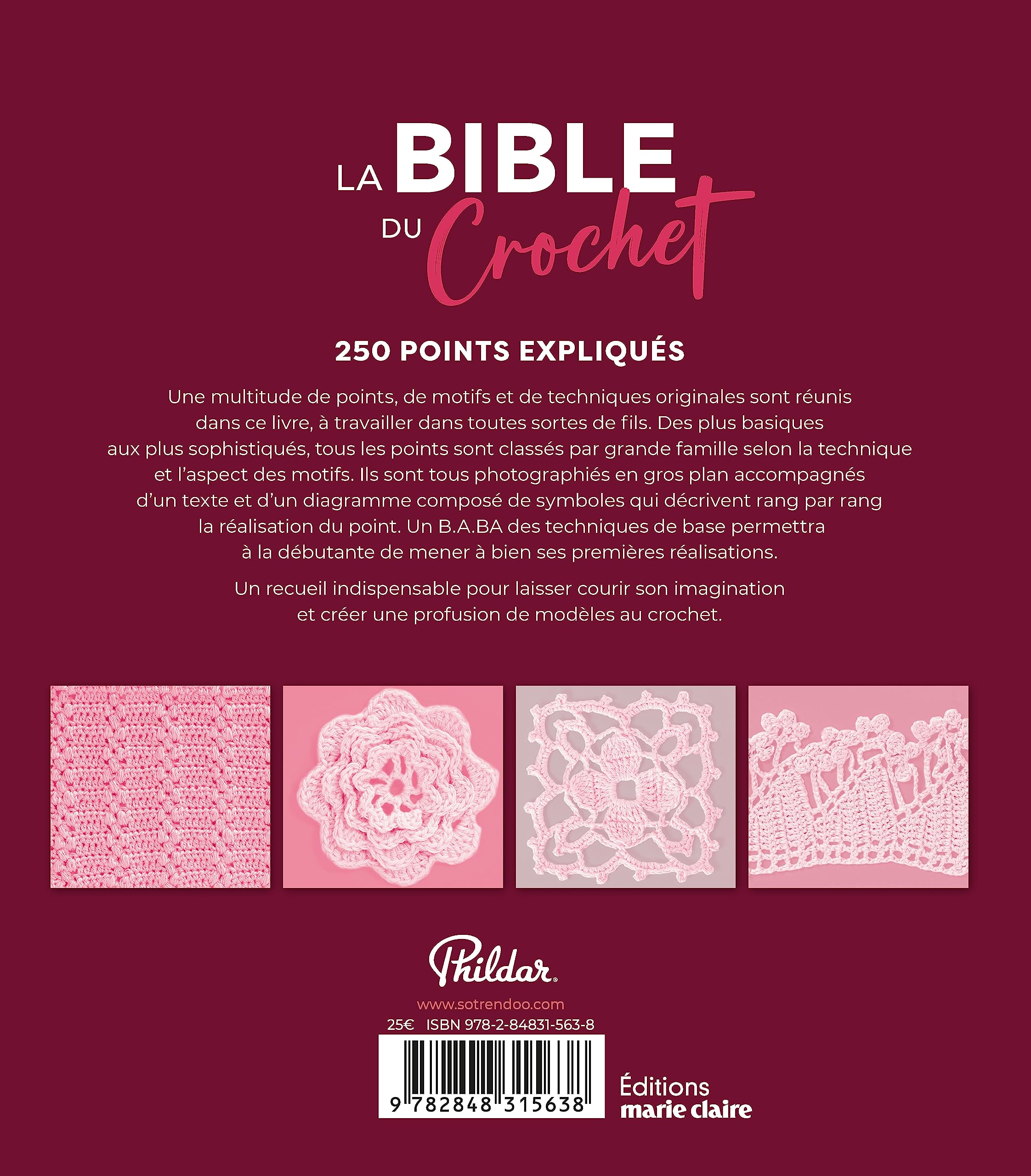 La bible du crochet: 250 points expliqués