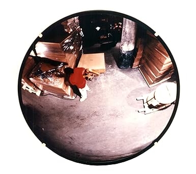 See All PLX36 Circular Acrylic Indoor Convex Security Mirror, 36