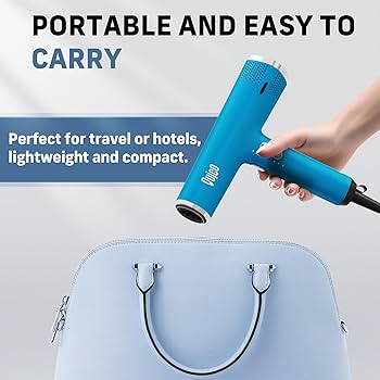 ヘアドライヤー HOLISTIC CURE BLOW DRYER Amazon.com : Dxliwky Professional Hair Dryer,1875 Watt High