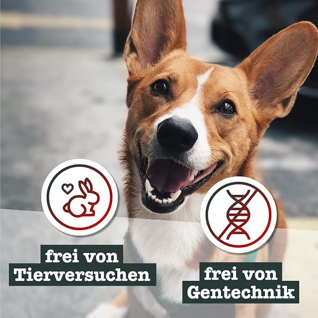 Foto 4 de 5 de Chewies Raíz para Perros de viñedo, Juguete para Masticar para tu Perro, Natural, sostenible