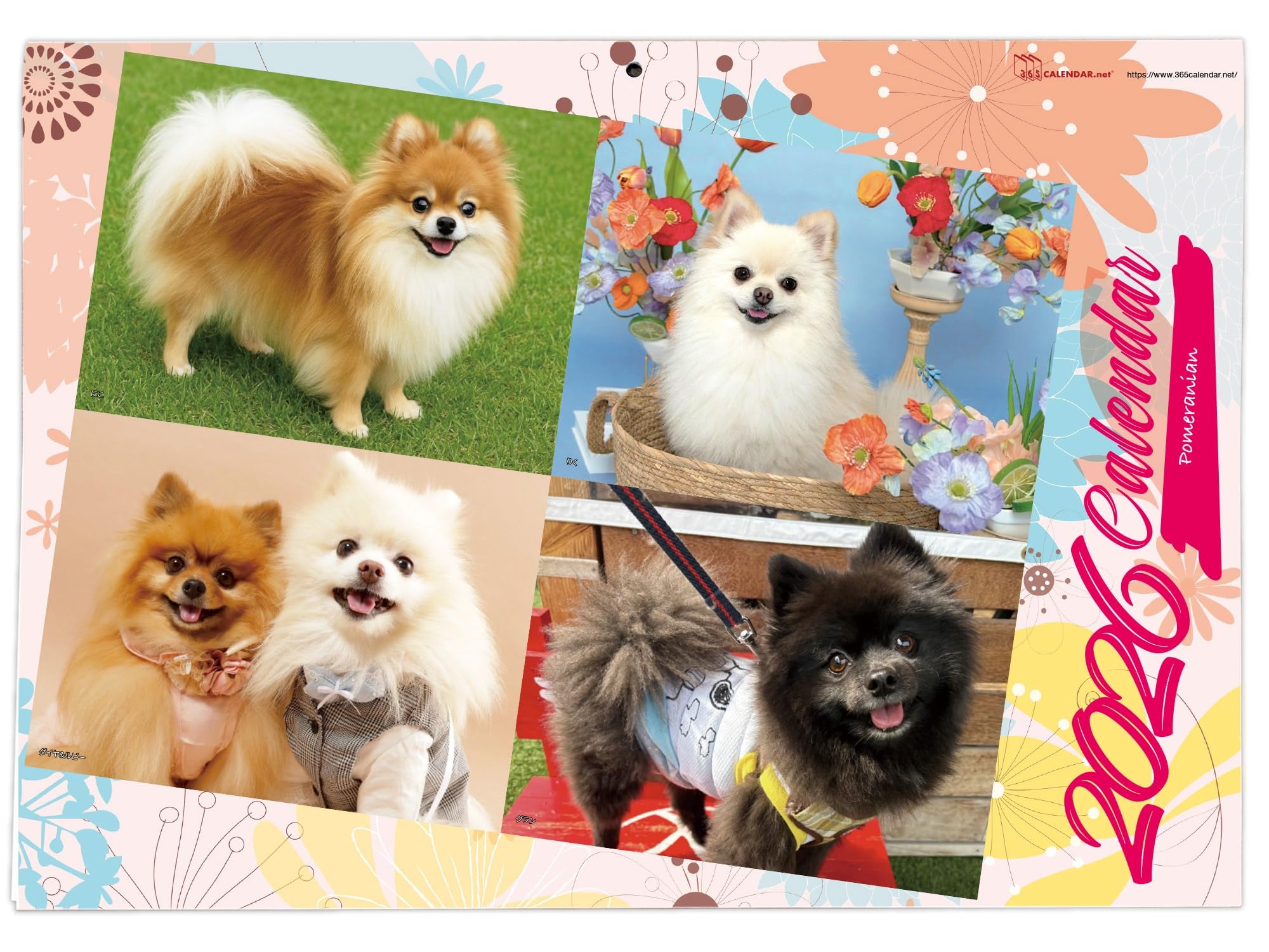 オーダー受付パネル♡ソーイングポメラニアン❤︎レアパネル♦︎パネルのみOK 予約生地】ポメラニアンバルーンパネル生地7柄