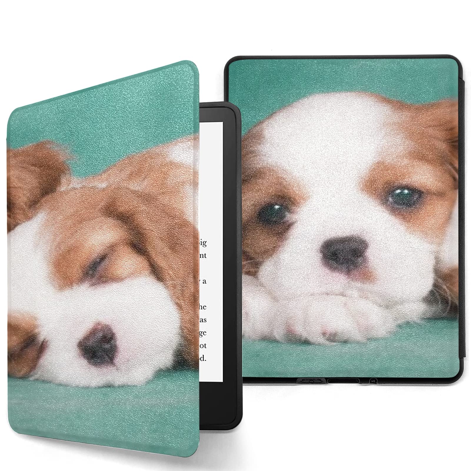 Why Do Puppies Sleep In Corners