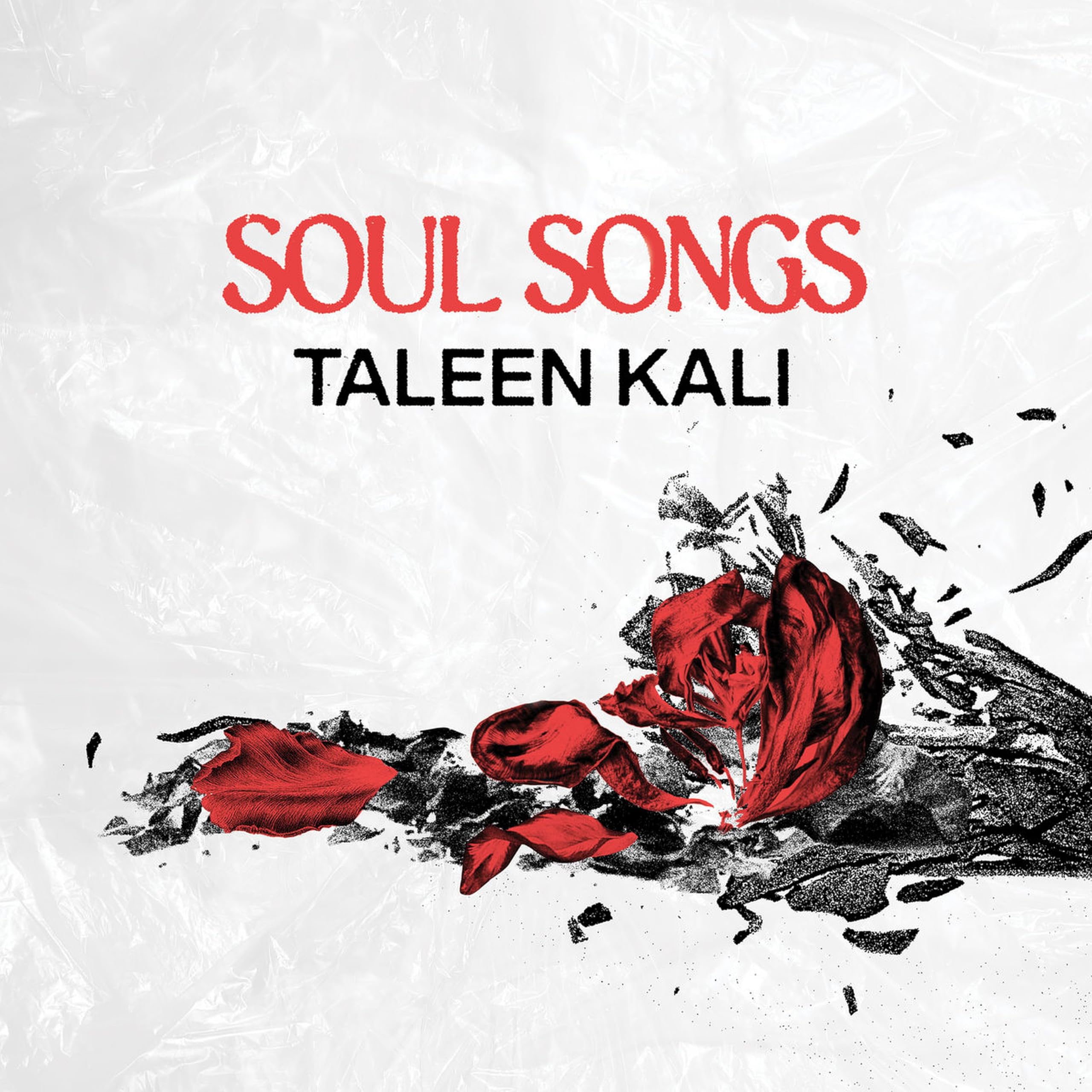 SOUL SONGS [VINYL]