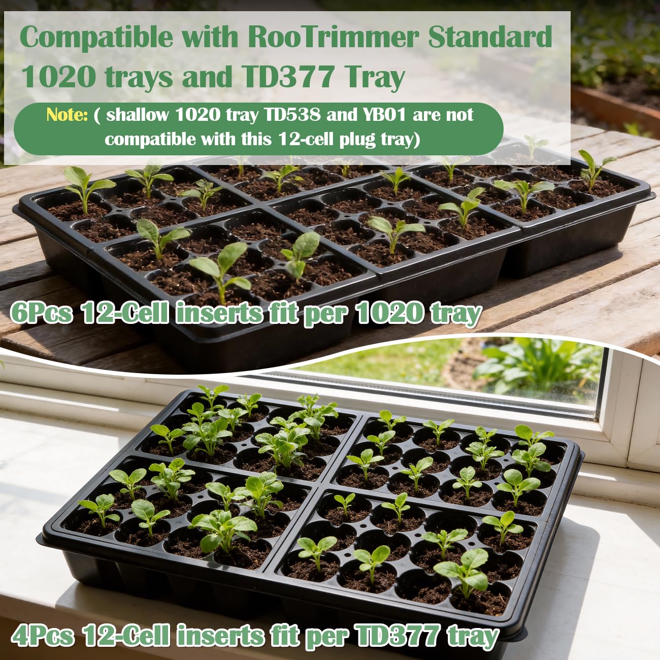 RooTrimmer Lot de 60 plateaux de démarrage de graines réutilisables à 12 cellules avec grands trous de drainage pour la germination des graines, faciles à rempoter, compatibles avec les plateaux plats