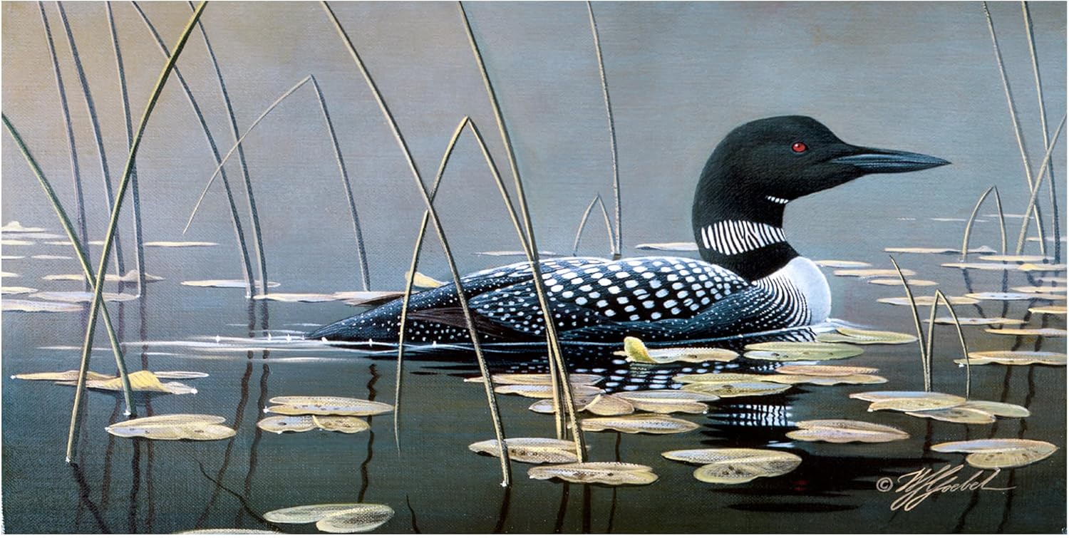 Wrapped Canvas Wall Art - Wilhelm Goebel 'Loon In Reeds' Wall Art for Living Room, Bedroom, or Office Décor - 24x47