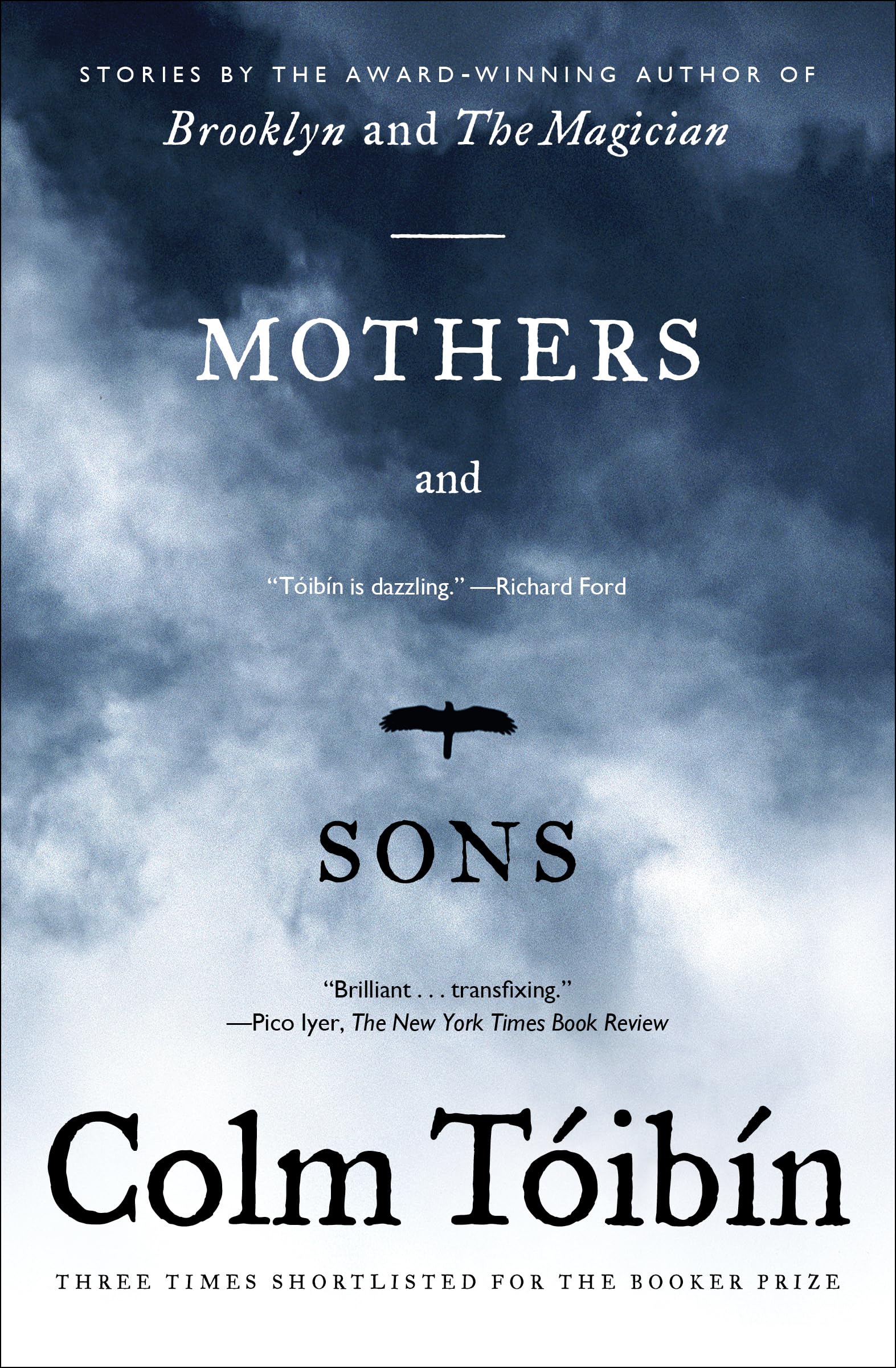Buy Mothers and Sons: Stories โ BookShops.in