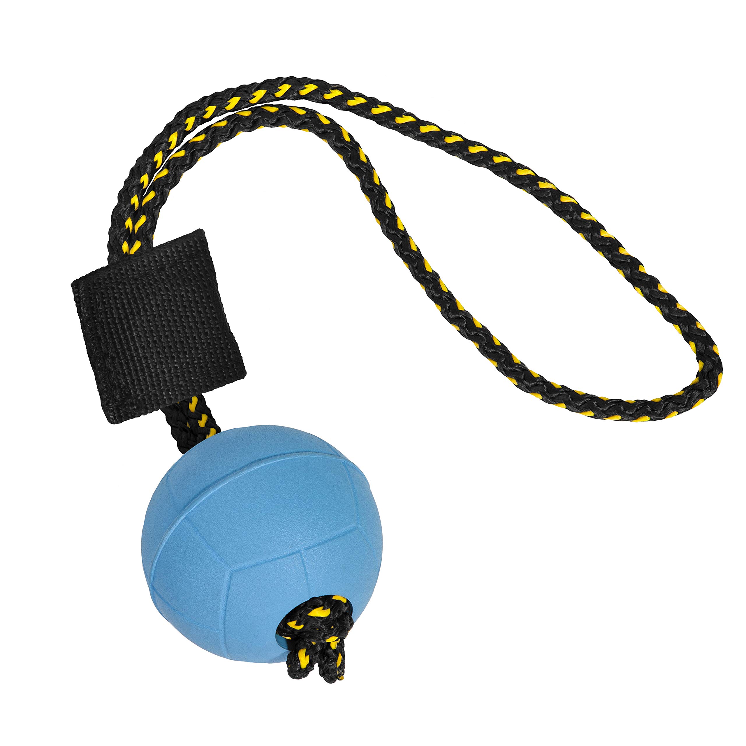 DINGO GEAR WWW.DINGOGEAR.COM 1977 Magnetset für das Hundetraining: eingefasster Magnet und Magnetgriff Gummiball