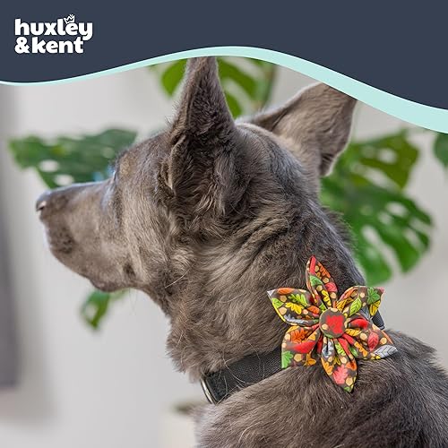 Miniatura 4 de Huxley & Kent Molinete para mascotas  Accesorio de collar de otoño para perrosgatos  Accesorio de collar de lazo  Accesorio lindo y cómodo