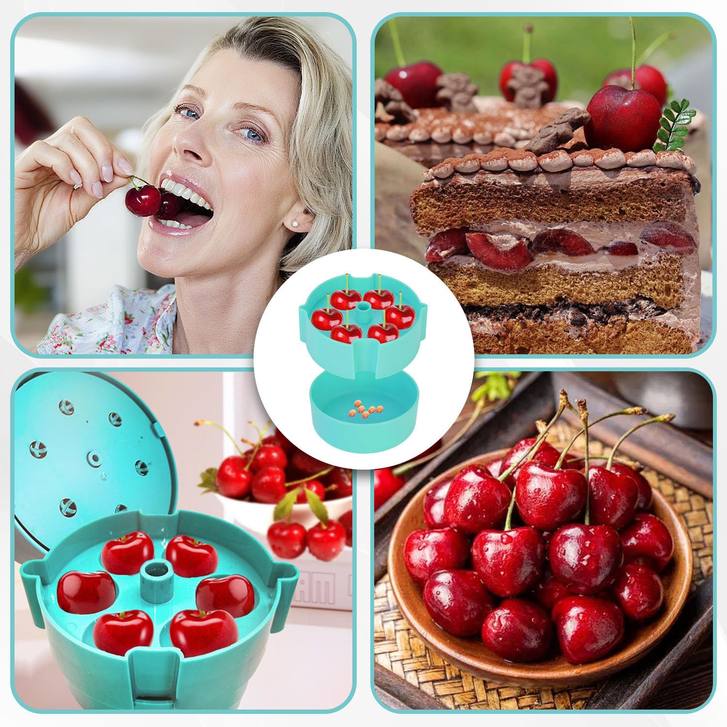 DéNoyauteurs Pour Cerises, Type poussoir déNoyauteurs Pour Cerises avec bac de récupération, Multi DéNoyauteur Pour Cerises, Outil dénoyauteur de cerises, pour cerises, olives, prunes