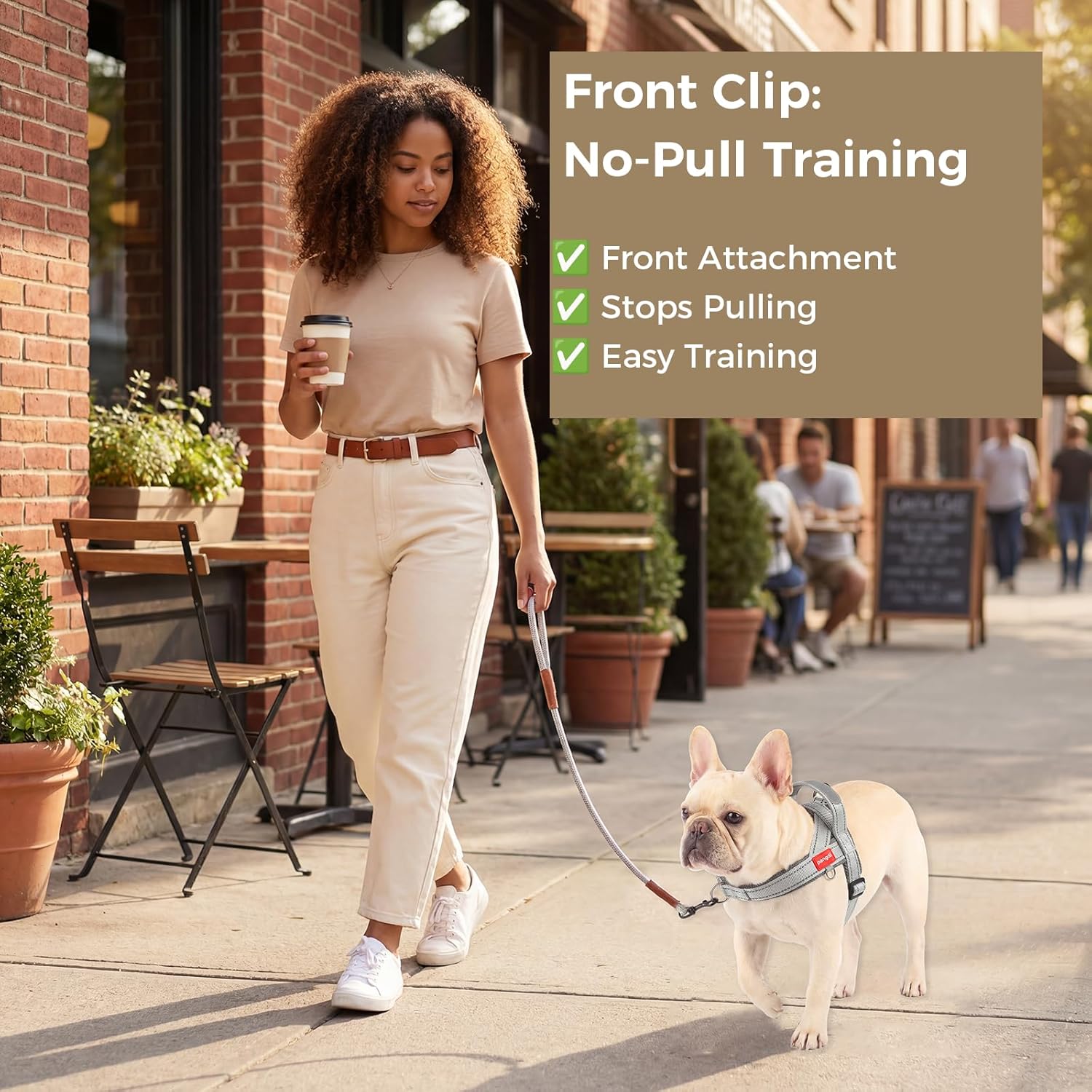 No Pull Dog Harness with Handle, Corgi Adjustable Reflective Dog Vest, Breathable Air Mesh Padded Pet Harness with Front Leash Clip for Small Medium Dogs, Light Grey, XL