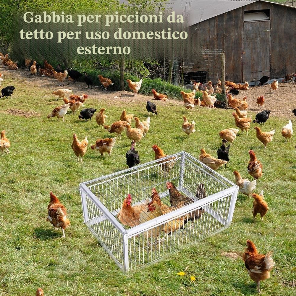 Gabbia per Piccioni a Prova di Fuga, Portatile per Uccelli, Facile da Montare all'Aperto