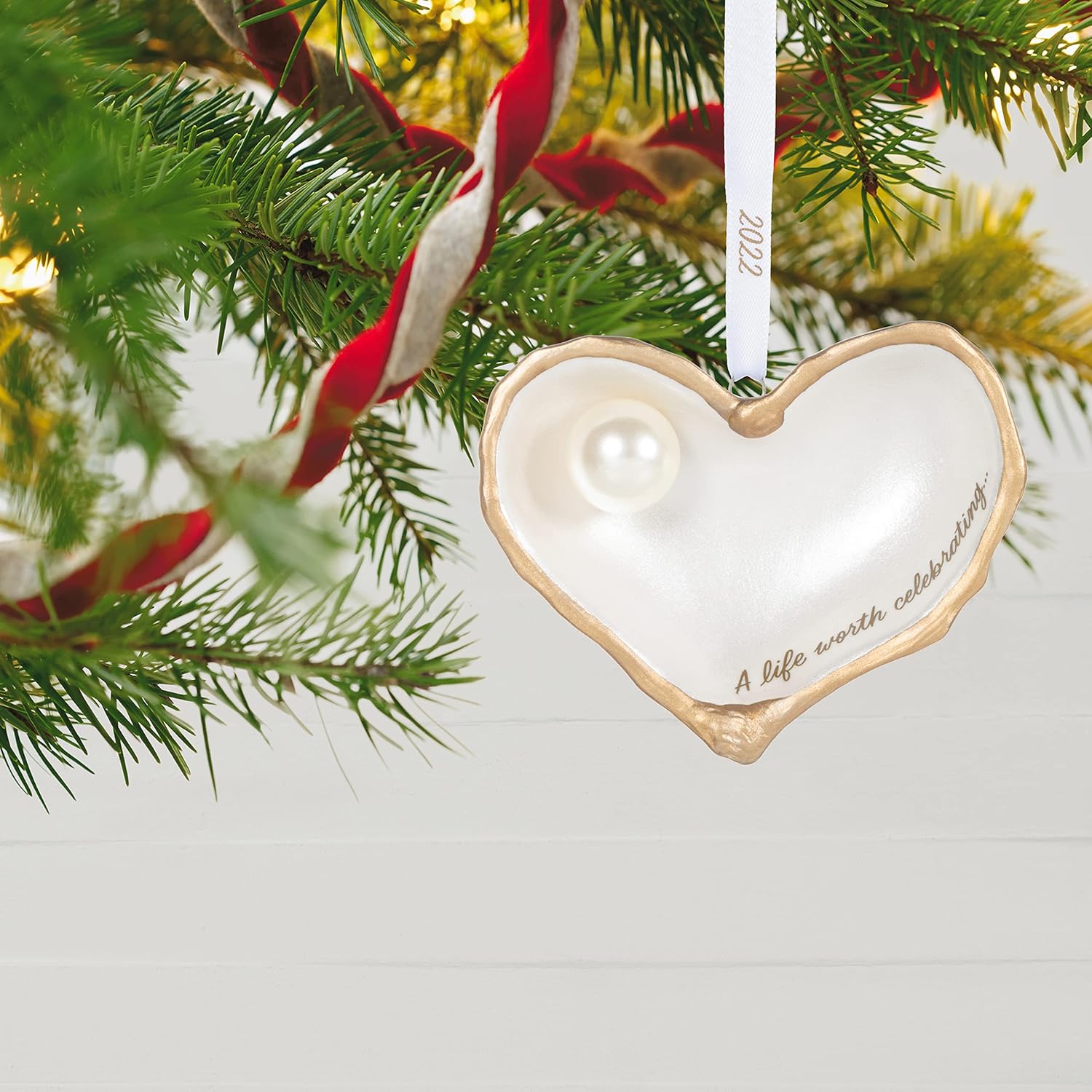 Amazon.com: Hallmark Keepsake Christmas Ornament 2022, Memorial Ornament, A Life Worth Celebrating, Porcelain : Home & Kitchen