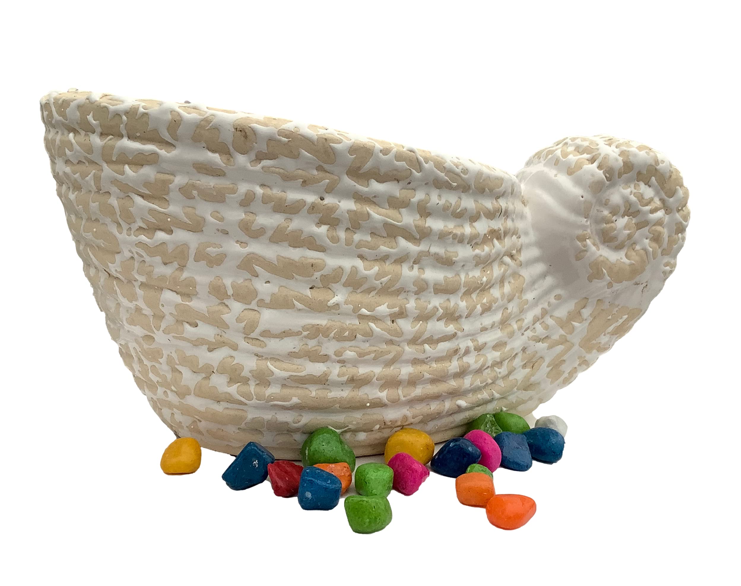 Shell Ceramic Planter Pot | 28 cm X 18 cm | Indoor Outdoor Plant Pot | Home/Office Planter | Home Decor (B0BL7GZB9X) Amazon Price History, Amazon Price Tracker