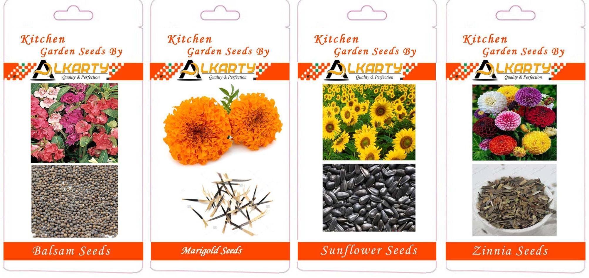 Balsam, Marigold, Sunflower, Zinnia Summer Flower Seeds Pack of 20 Each-image-45