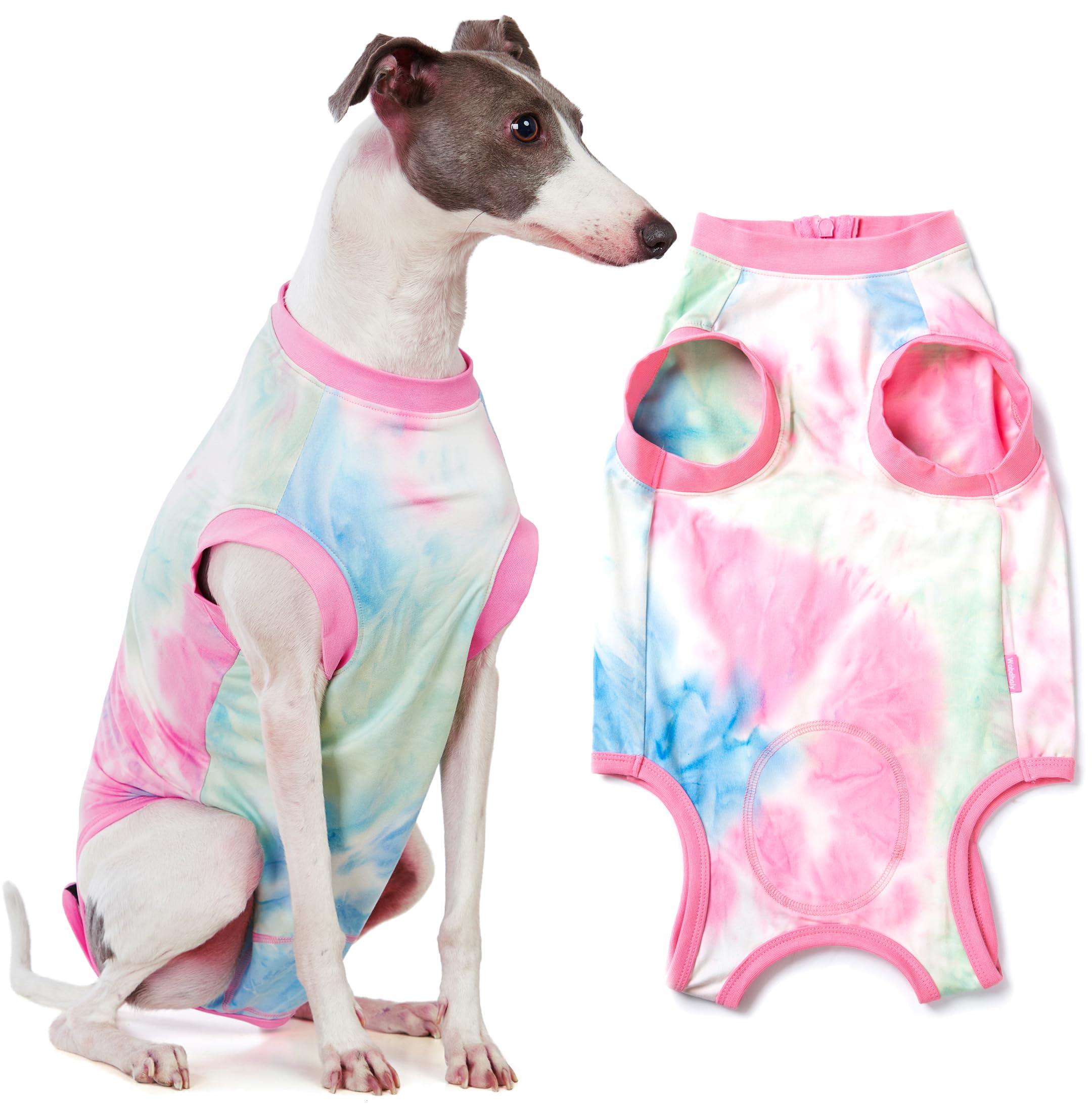 Recovery Suit for Female Dogs, Dog Cone Alternative After Spay