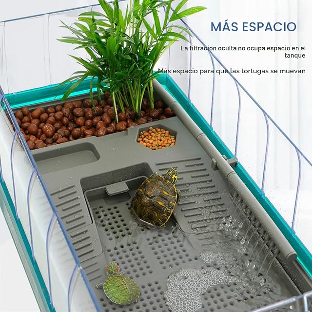 Foto 2 de 8 de Terrario Tortugas de Tierra